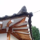 비야농장 이미지