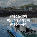 동일하모로 | 제주 돌고래 힐링투어 아이랑 갈만한 곳 생생 체험 후기
