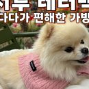 봉쥬르다다