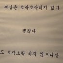 그레이스 글램핑 이미지