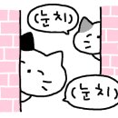 주식회사 설레인 이미지