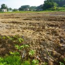 사목2리 이미지