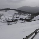 대관령목장 이미지