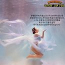 중앙동318 이미지