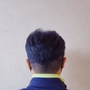 블루마리 이미지