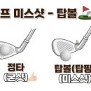 미주프라자 이미지