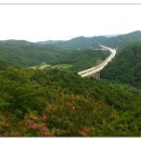 도화동산 이미지