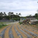 동전보건진료소 이미지