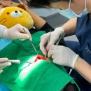 한병리과의원 | 함치성낭종, 처음 들어보셨나요? 정의부터 제거 방법까지 한 번에 정리해드립니다