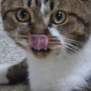 온누리남산약국 이미지