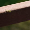 미소웰치과의원 이미지