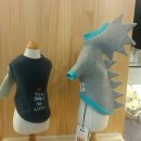 coco puppy 이미지