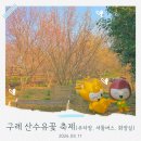 신오산마을 공원 화장실 | 구례산수유꽃축제 데이트코스 아이들놀이터 주차장 화장실 위치