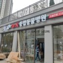 Dr.K 종합동물병원 이미지