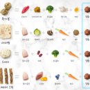 모여라 댕댕 이미지