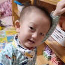 키즈힐스어린이집