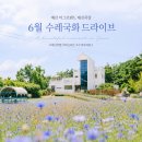 유실목장 | 예산 아그로랜드 태신목장 6월 꽃구경 수레국화 한가로운 주말 드라이브 추천