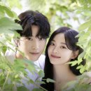 용주농장 | 김세정X이종원 술처럼 스며드는 ENA 로코드라마 취하는 로맨스 추천