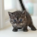 청도메디컬 이미지