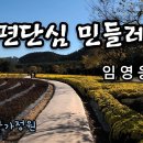 임영웅 ♬ &#39;일편단심 민들레야&#39; (태화강 국가정원) 이미지