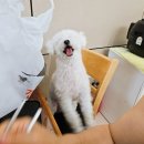 광주 첨단맛집 깐깐한족발 반반메뉴 보쌈 포장 후기