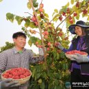 김광연 농장 이미지