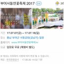 부여 서동연꽃축제//// 2017년 7월 15일 (토요일) 이미지