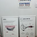 시그니아독일보청기(고양센터) 네이버블로그