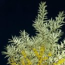 주경농장 이미지