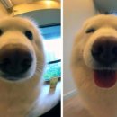 칭찬 이미지