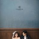 스튜디오카멜리아