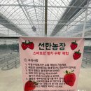 선한농장 네이버블로그