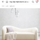 까사웰
