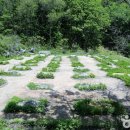 용화산성 이미지