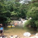 소나무캠핑 이미지