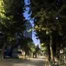 인왕 | [ LG CNS Ai Genius ] #06_ 인왕중학교 수업 후기