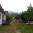 로뎀나무아래 이미지