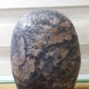 벚꽃마을 이미지