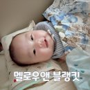 재규어 | 멜로우앤 시그니처 블루 재규어 블랭킷 3개월 아기 사용 후기