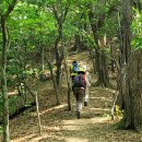 관설초등학교 이미지
