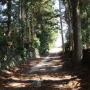 상창농장 이미지