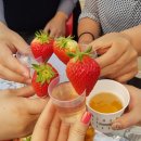 승현 농장 이미지