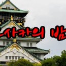 오사카의밤