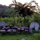 전통찻집 다온 이미지