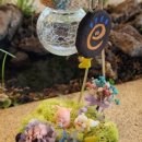 남산타운어린이도서관 이미지