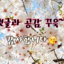 좋은아침(성화점) 이미지