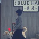 카페블루하우스