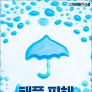 태풍태권스쿨 이미지