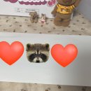 쁘띠뽀레 이미지