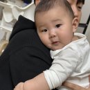 예지서림 | 주토피아 사항해